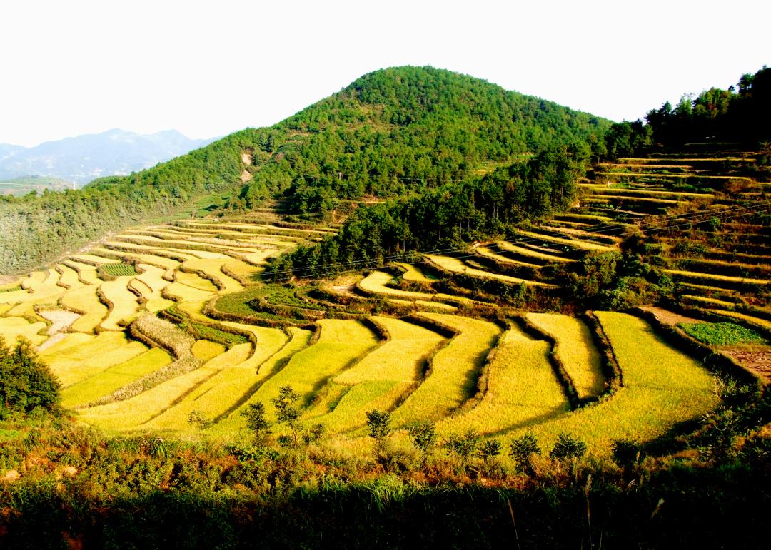 金华5地获评全省乡村氧吧气候康养乡村避暑气候胜地称号