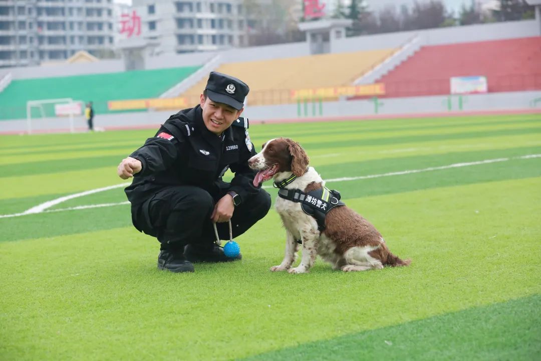 鳶都警犬我的無言戰友麥兜