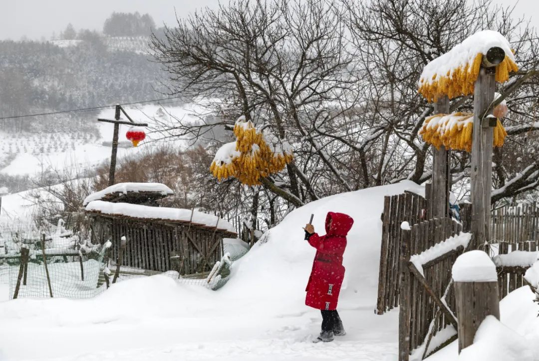 农村小院雪景图片大全图片