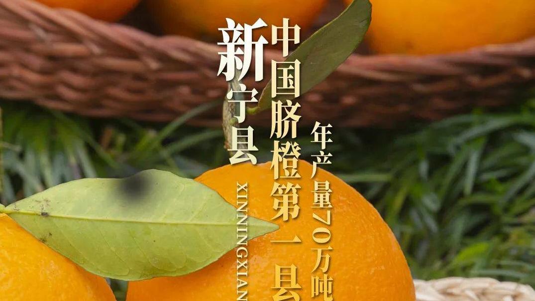 袁隆平爷爷称赞“好吃”的崀山脐橙，来自湖南这个低调的县城