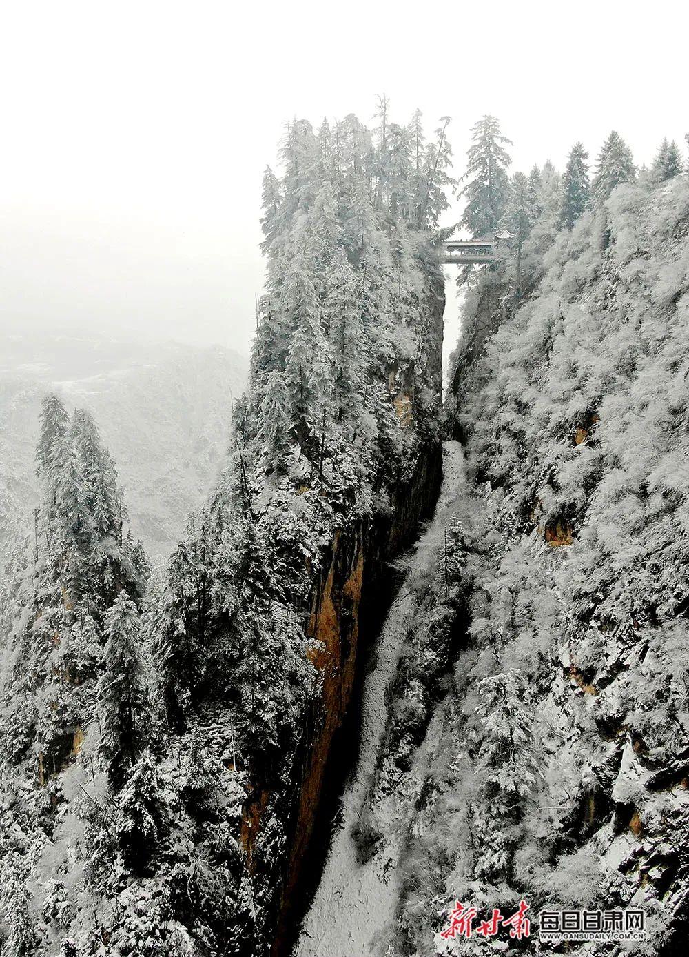 公主请登山 | 遮阳山贵清山冬季限定玩法上新,一路向上追暖阳!