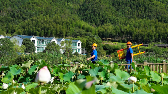 福建：中国电信助力数字乡村建设