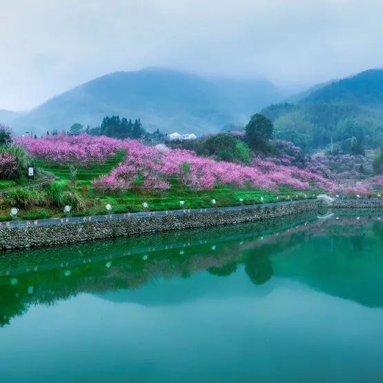 赏一片常青,探一条古街,在畲乡感受山风和鸟鸣_澎