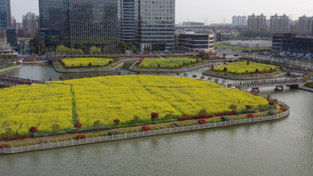 湖中有四座小岛四季花开,东侧有春申湖广场与莘空间小站,为居民提供