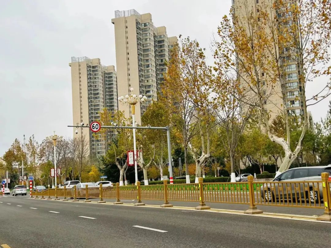 截至目前，已完成鑫海街、芝阳山路、银河路行道树的修剪工作，龙益路、