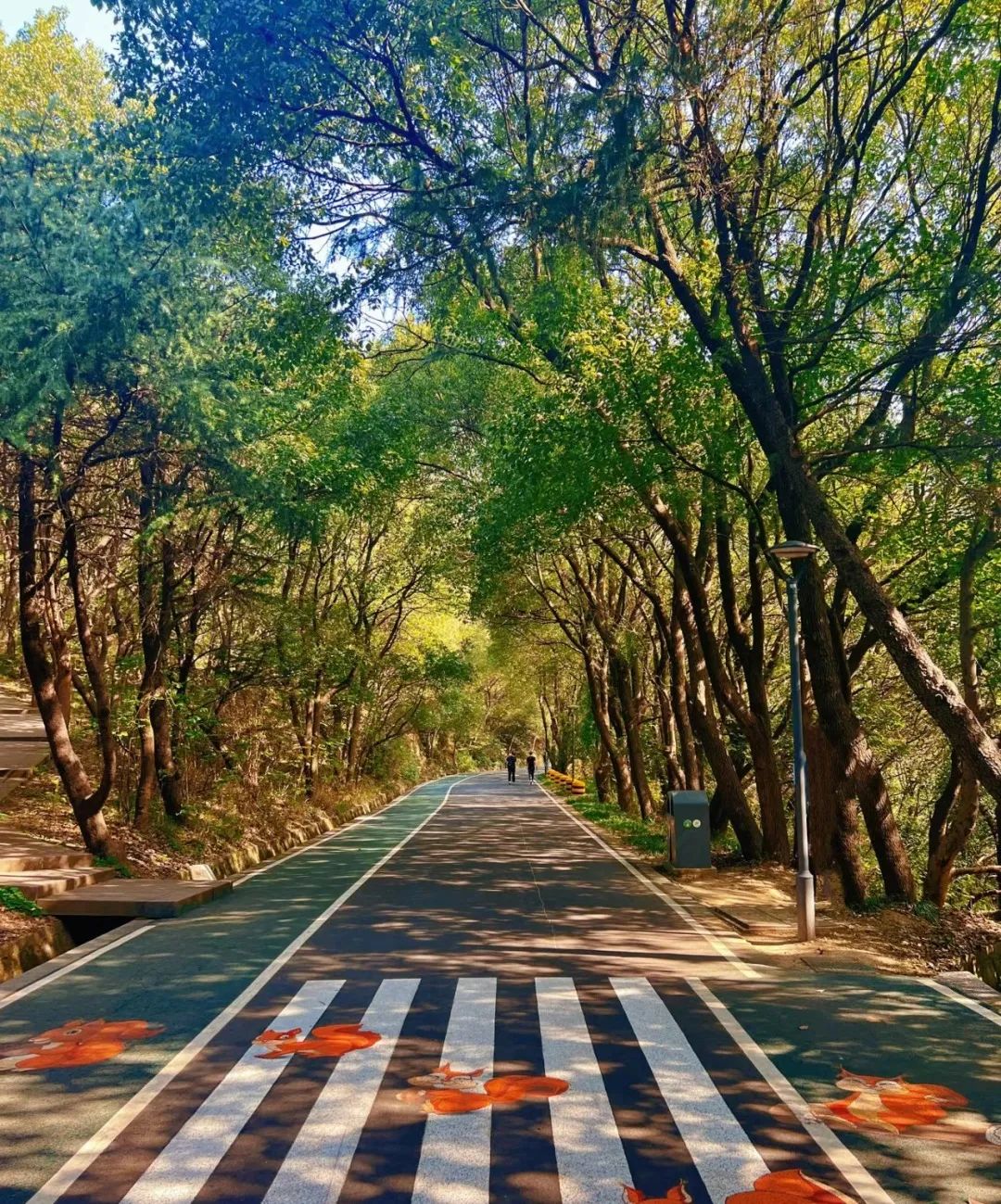 江苏惠山国家森林公园图片