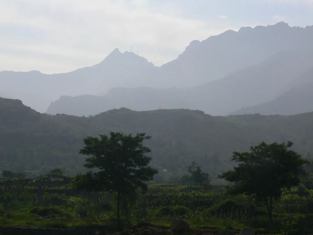 昌黎之魅｜北魏文成帝拓跋濬至碣石_澎湃号·政务_澎湃新闻The Paper