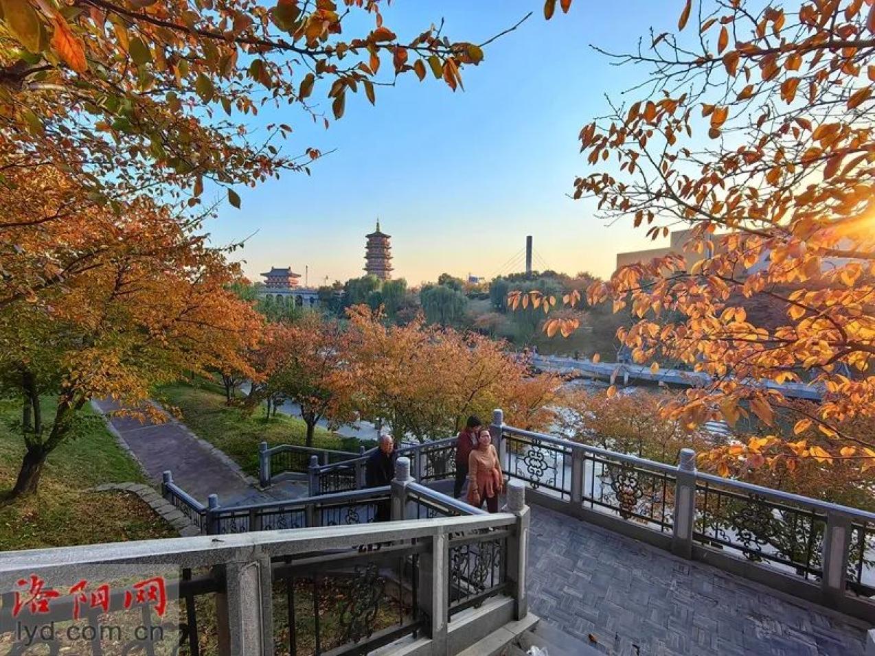 【美丽瀍河】隋唐大运河国家文化公园美景醉人_澎湃号·政务_澎湃新闻