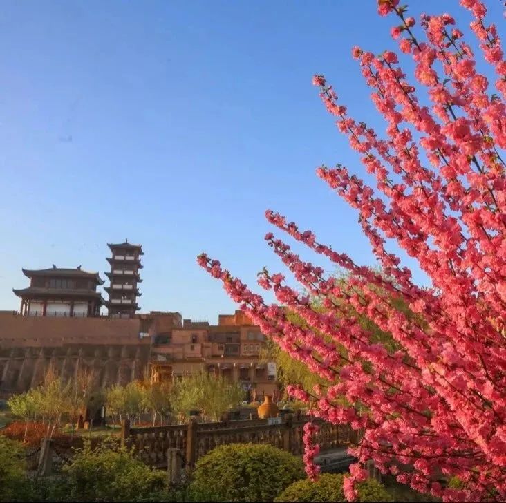 确幸万物滋养的季节在这个春暖花开喀什大地生机勃勃春天里"草木萌发