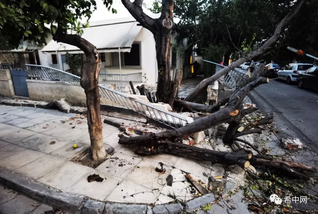 在莫斯哈托,一棵倒下的树木砸中了一栋房屋的院子造成院墙损坏.