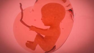 胎儿各阶段身长体重是多少，遇到发育迟缓怎么办？