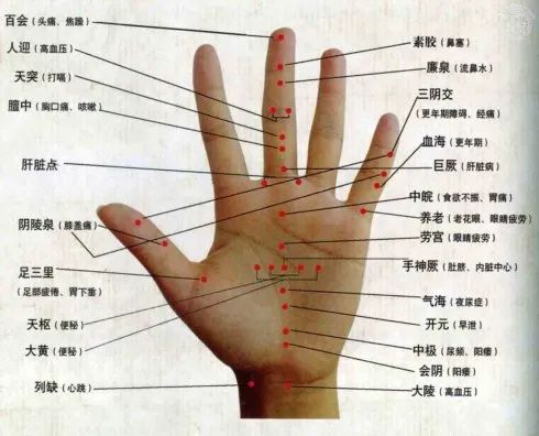 我们的手指上有很多穴位和经络,这些穴位和经络与身体的各个部位都有