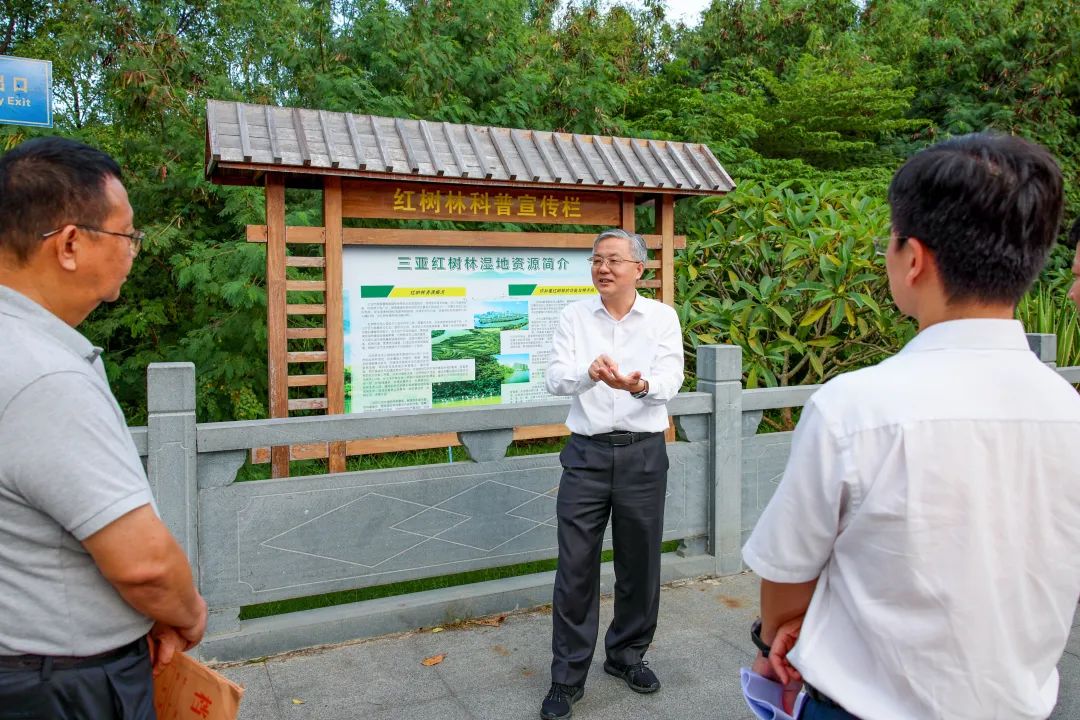 詳細瞭解青梅港,三亞河紅樹林保護區範圍及問題成因等情況,並提出具體