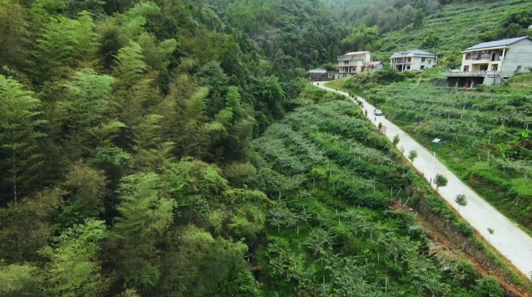 庫區風采|發展壯大村級集體經濟 推進鄉村振興