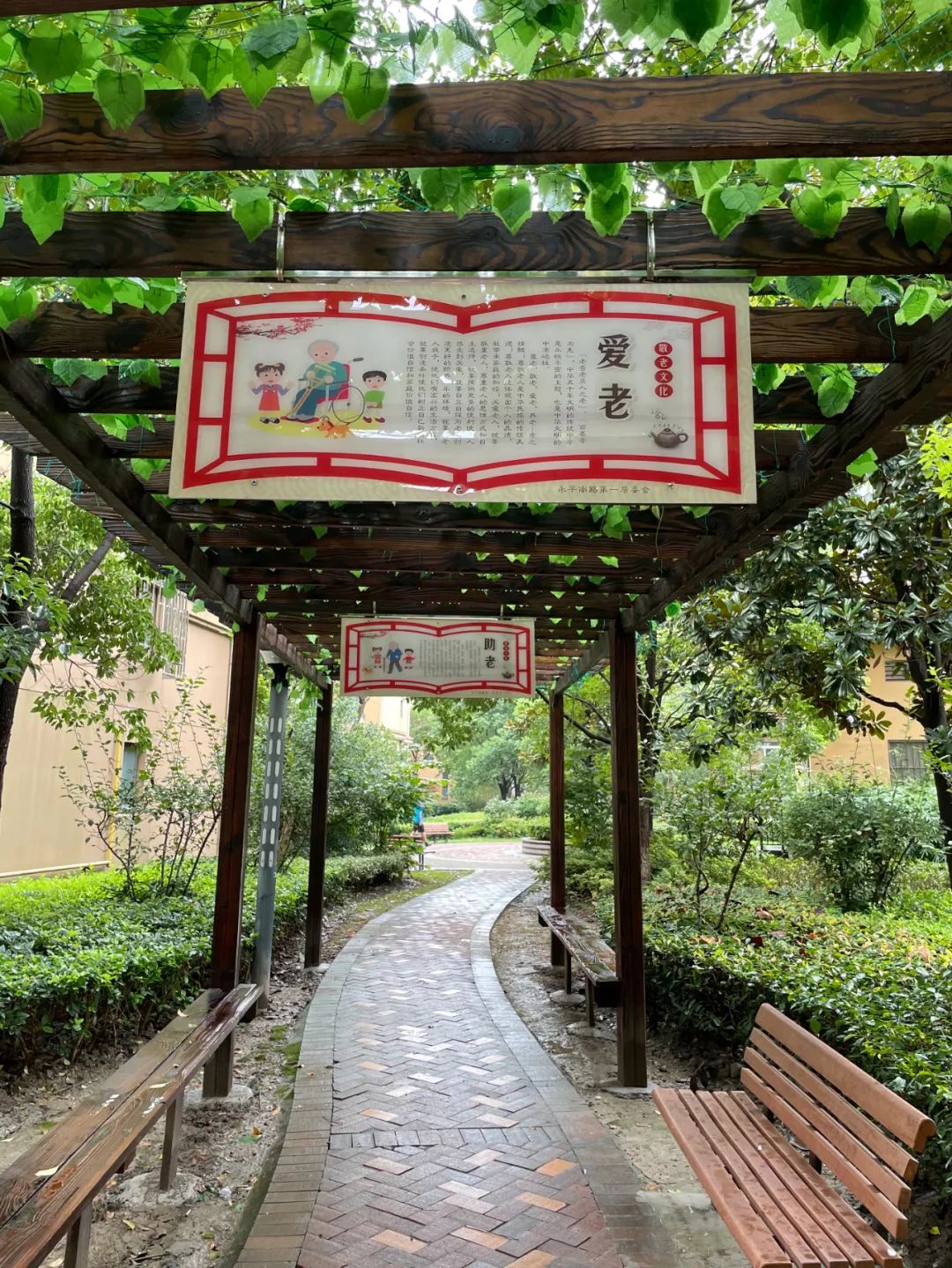 调研手记丨新建的这两条户外长廊,成了周边居民休闲好去处!