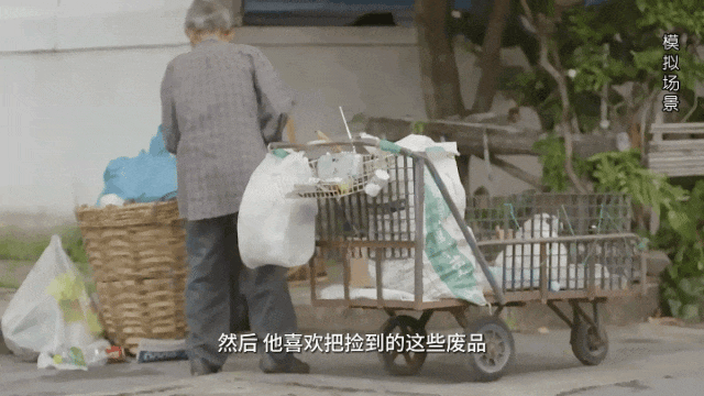 捡回家的“祸害”_澎湃号·政务_澎湃新闻-The Paper