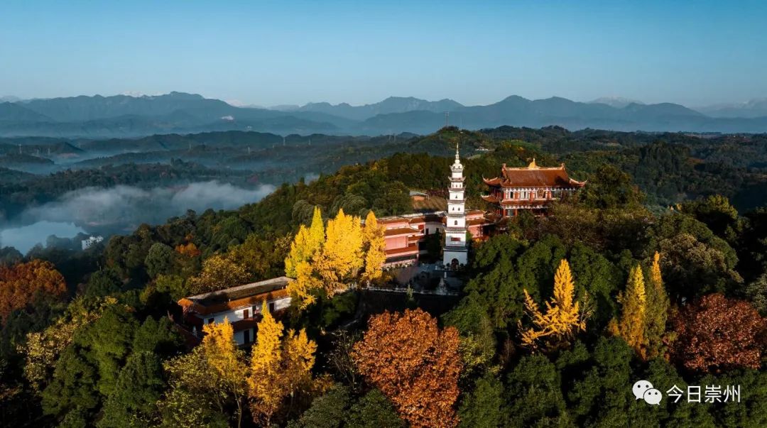 【魅力崇州】初冬崇州 美景如画_澎湃号·政务_澎湃新闻-the paper