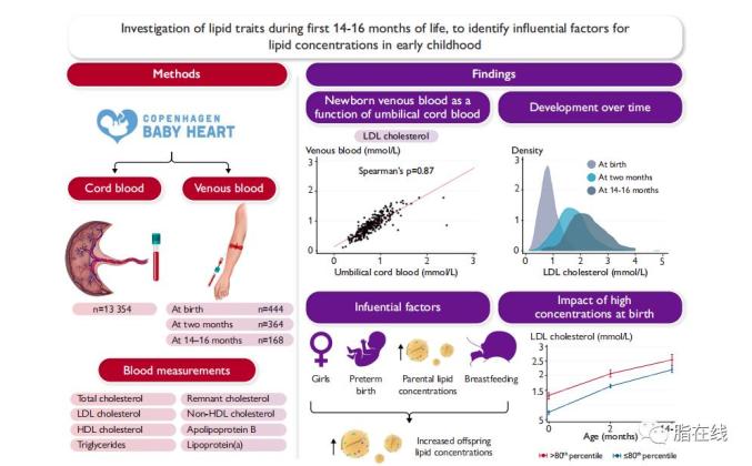 粥樣硬化脂質特徵濃度較高的兒童在2個月和14-16個月時脂質濃度更高