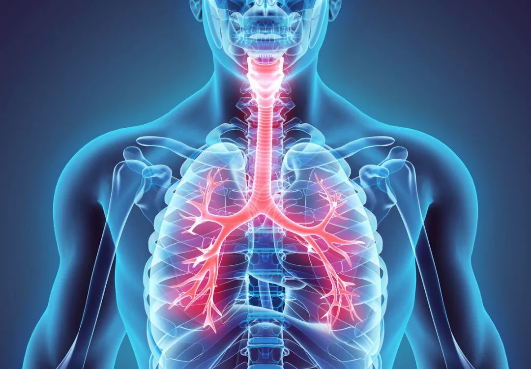 一次性活检钳检查什么公卫·技术丨普通气管镜在气道检查中不可或缺_https://www.jmylbn.com_新闻资讯_第1张