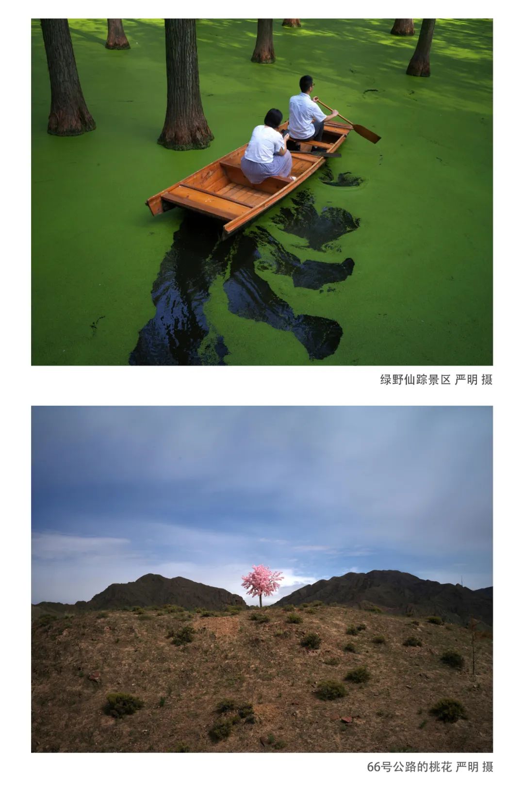 严明×叶锦添×五条人:从黑白到彩色,我的摄影转身