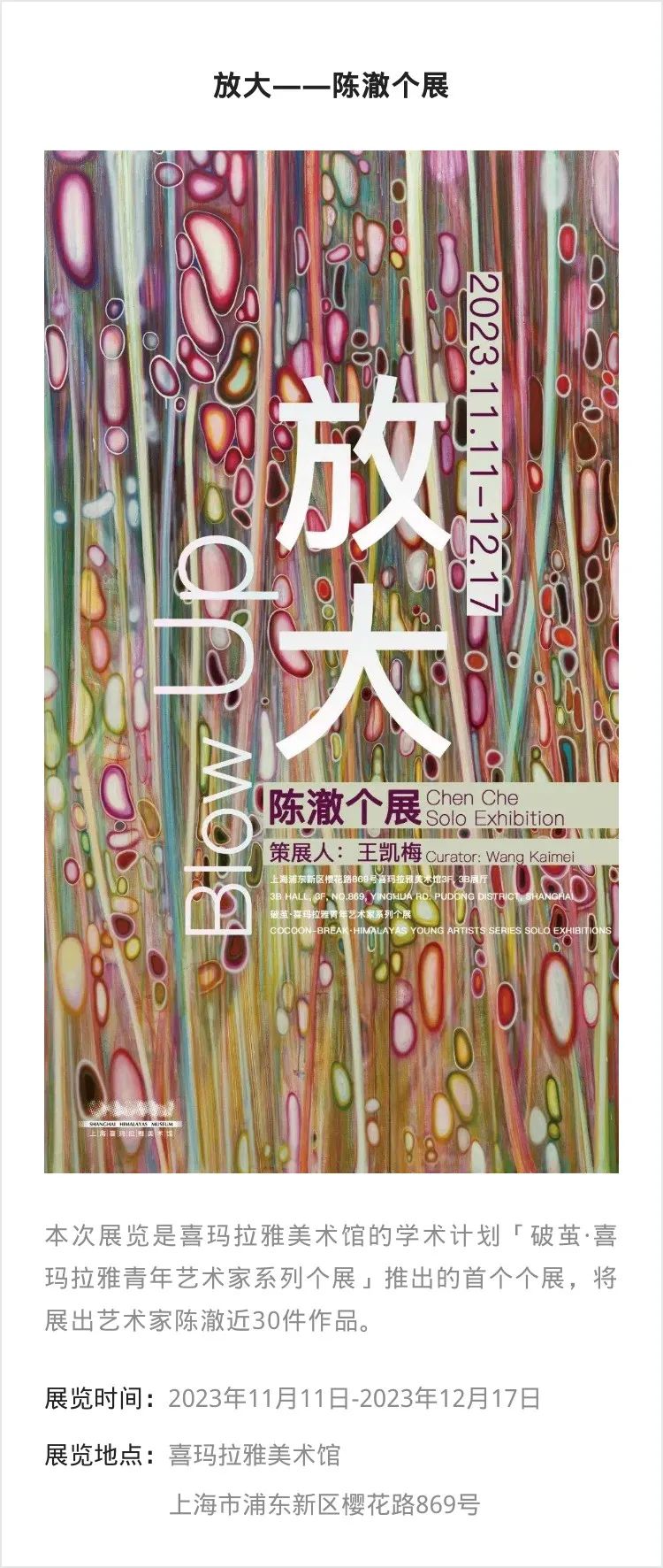 江浙沪 | 12月份有什么好看的展览?_澎湃号·湃客_澎湃新闻-The Paper