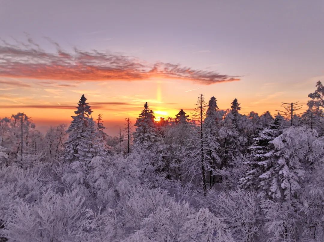 历义疏》释大雪道:"大雪十一月节月之初气也言太阴之气以大水凝为雪故