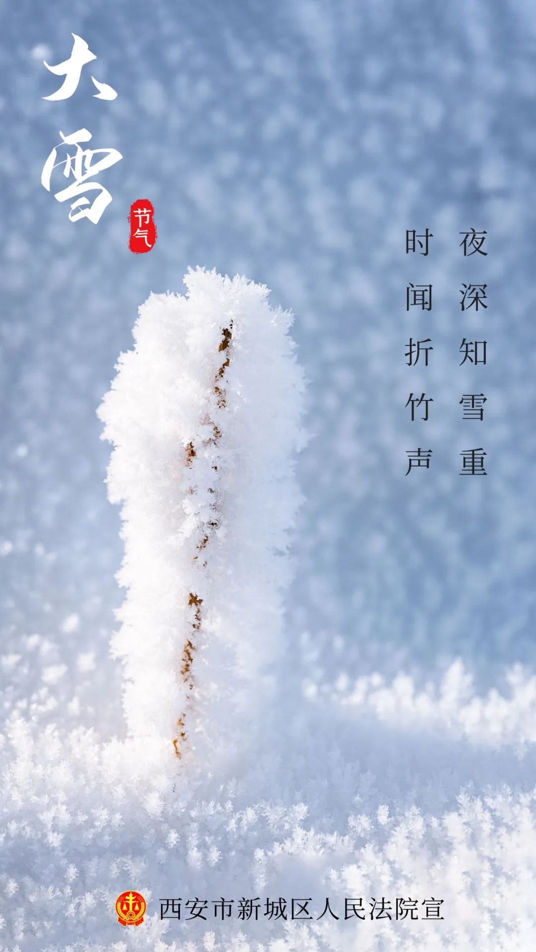 今日大雪︱夜深知雪重 时闻折竹声
