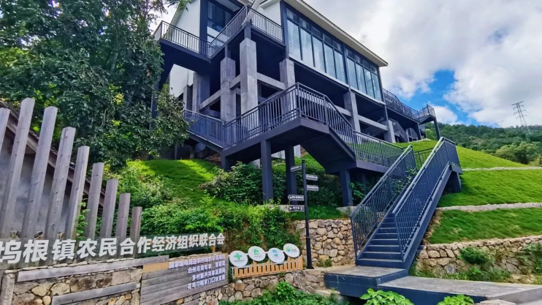 【之江同心 县乡热线】温岭坞根:凝聚知新力量 "三色"推进同心共富