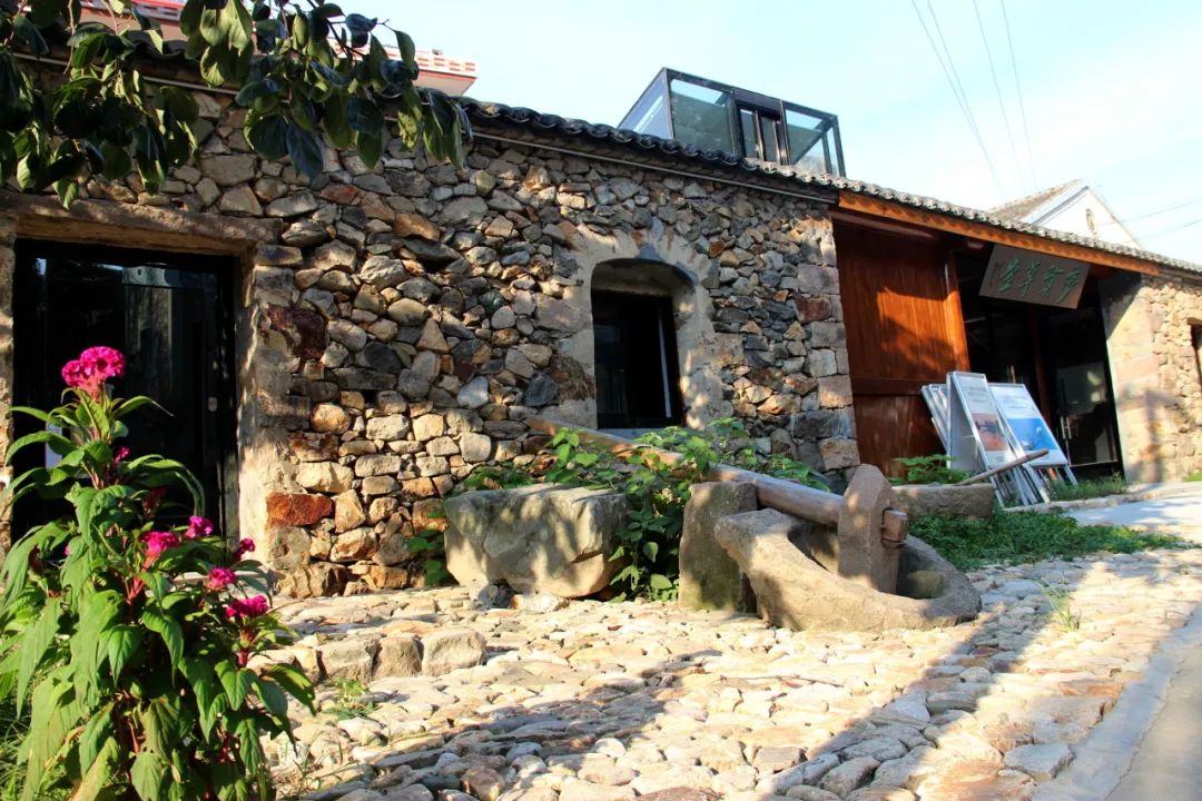 【之江同心 县乡热线】温岭坞根:凝聚知新力量 "三色"推进同心共富