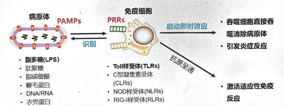 澎湃號·湃客_澎湃新聞-the paper