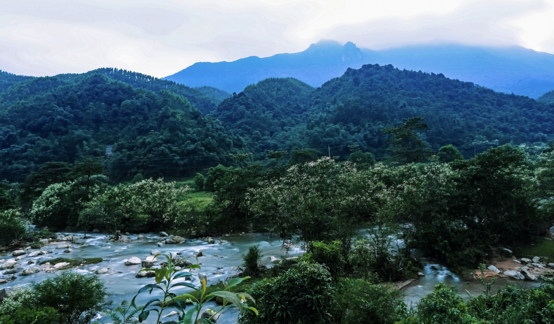 怀集蓝钟原始温泉电话图片