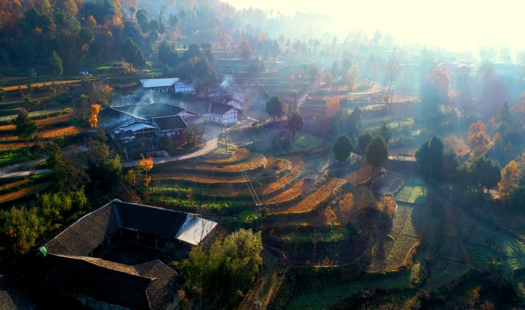 「雾」入通江!晨雾氤氲如人间仙境~_澎湃号·政务_澎湃新闻-the paper