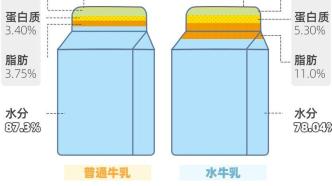 憑啥賣牛奶2倍價(jià)？揭秘網(wǎng)紅水牛奶背后門道