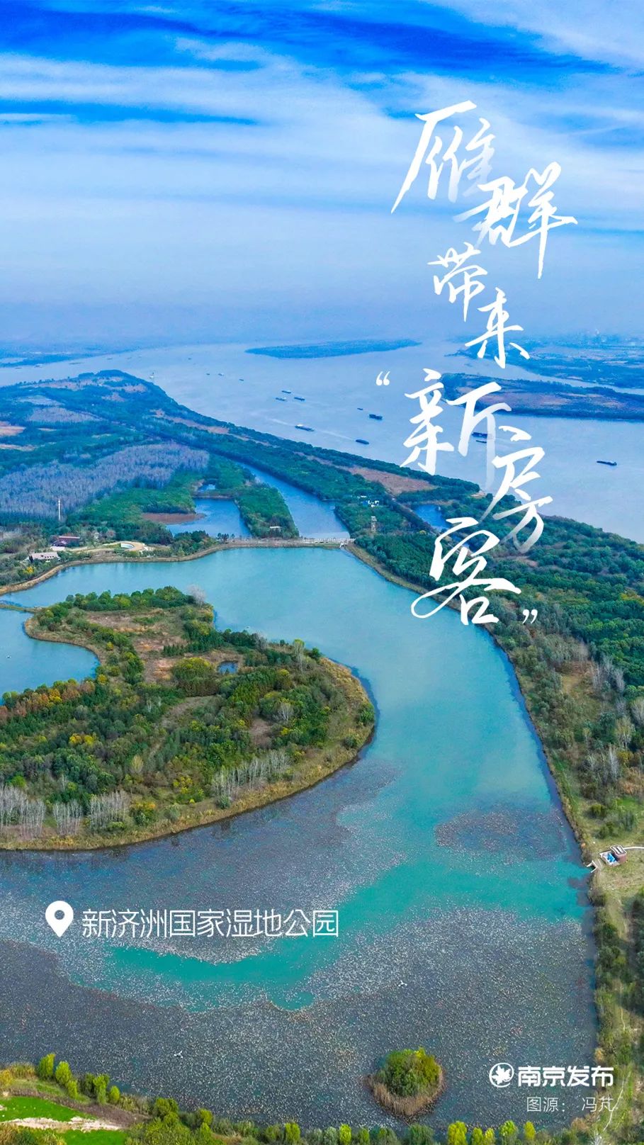 冬日精灵，空降南京_澎湃号·政务_澎湃新闻-The Paper