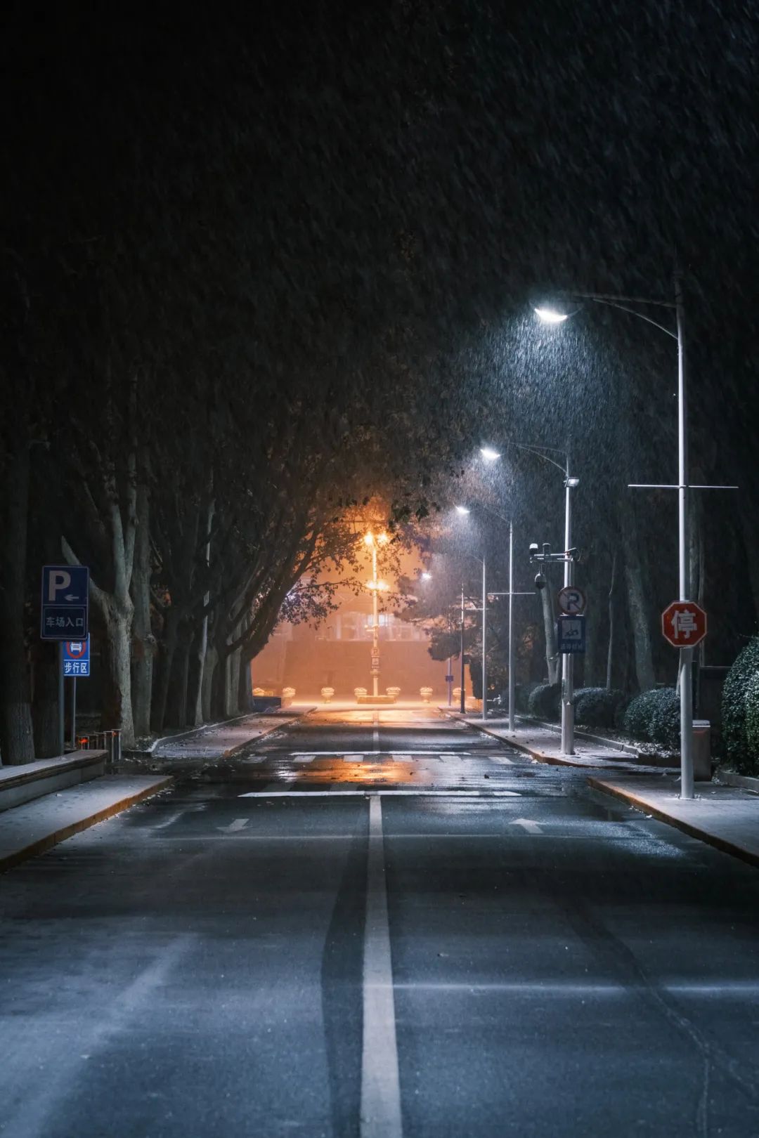 路灯下的雪夜图片图片