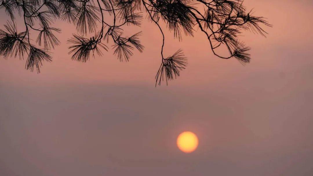 圖源:貴州迷你車友會夜晚的民宿是唯美的,也是浪漫的,讓人止不住的