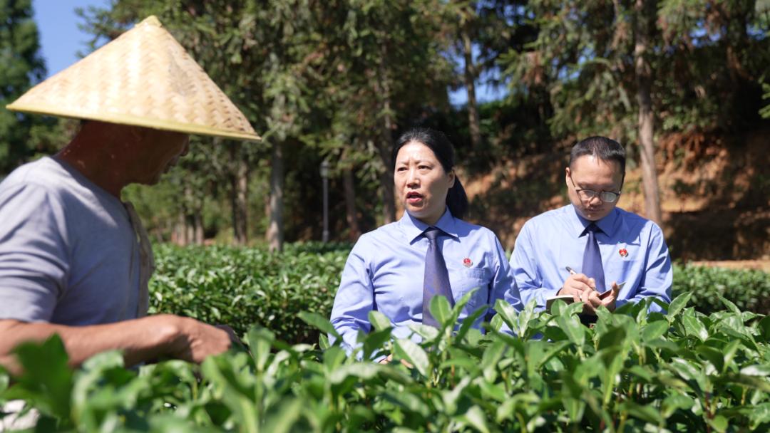 市人民檢察院護航民營經濟高質量發展的十五條舉措》和《關於服務