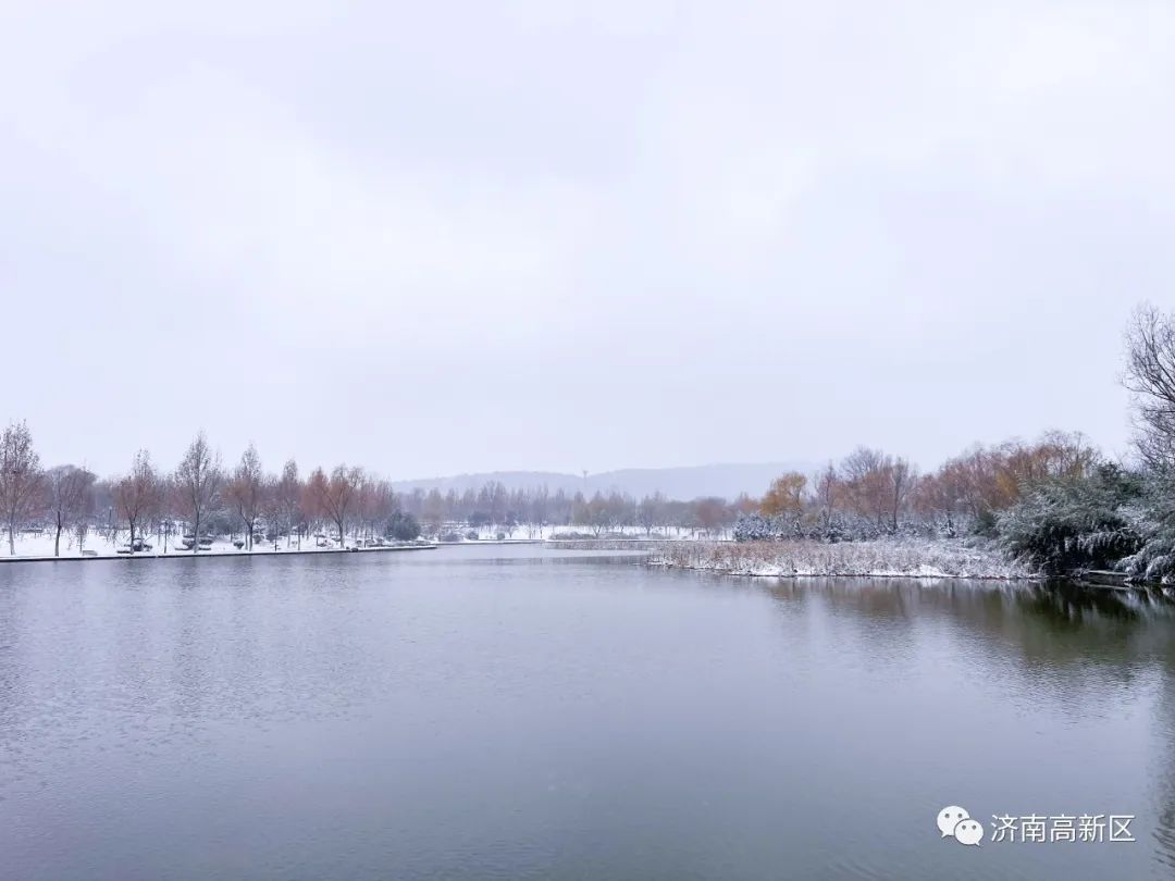 雪落高新 這一大波雪後美景,忍不住與你分享_澎湃