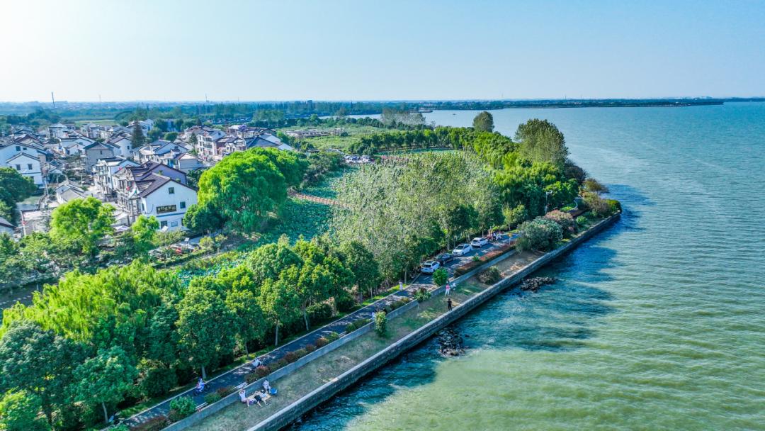 总面积62平方公里,是上海的母亲河——黄浦江的源头,上游承接太湖吴江