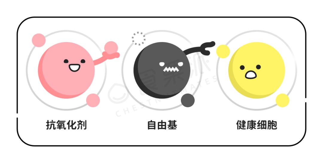 這種保護作用被認為是由水果和蔬菜中的抗氧化劑驅動的.