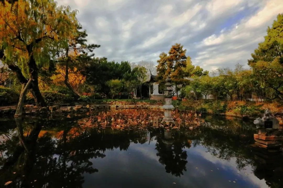 欣賞|古典園林最美的季節(三)_澎湃號·政務_澎湃新聞