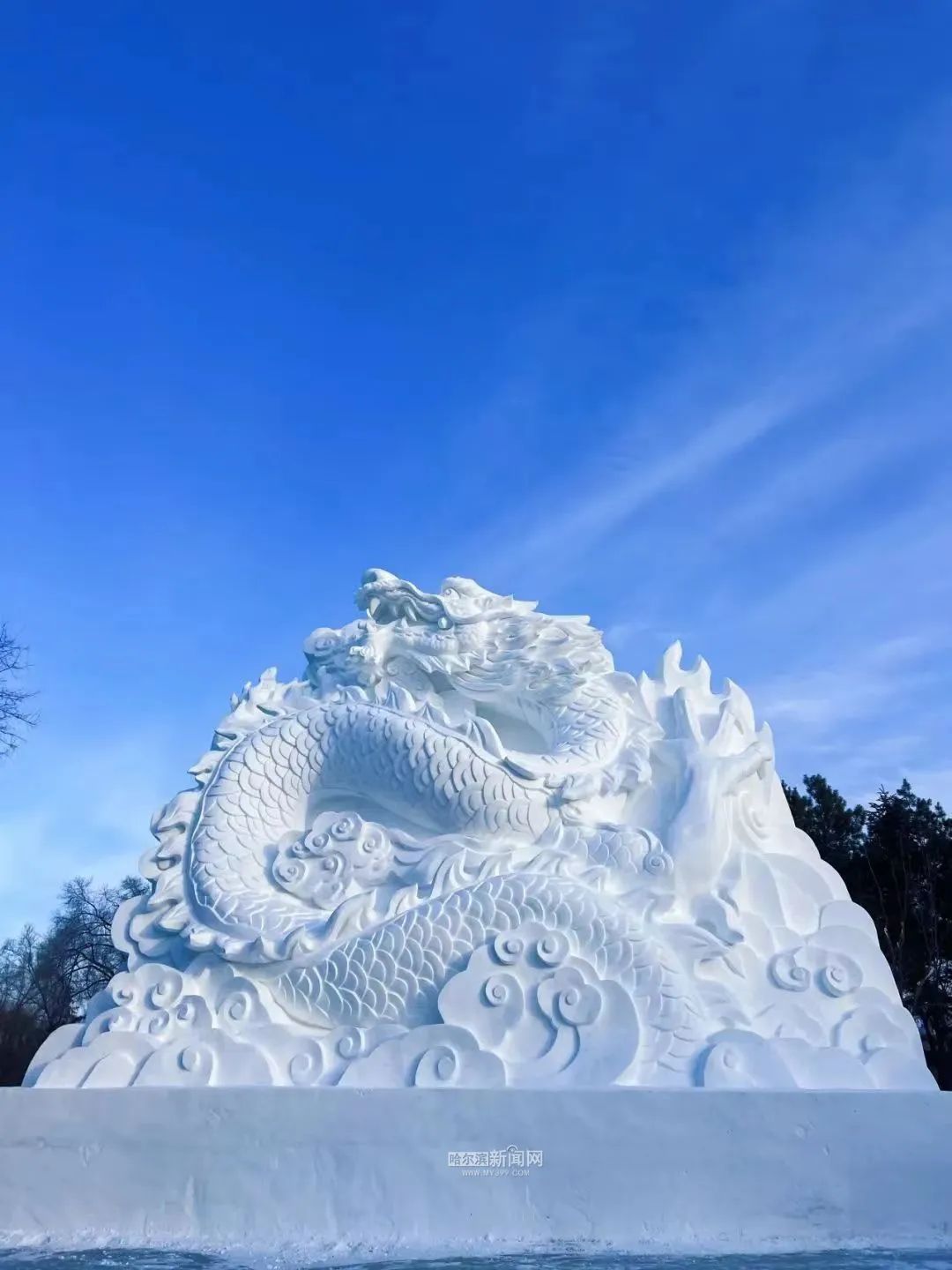 用雪堆龙的图片图片