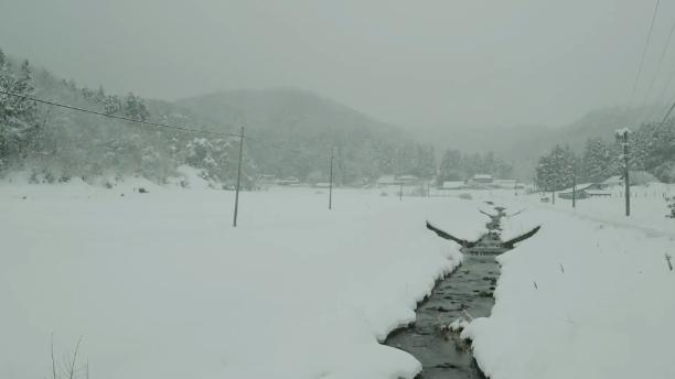 最適合下雪天閱讀的作家:羅伯特·瓦爾澤_澎湃號·湃