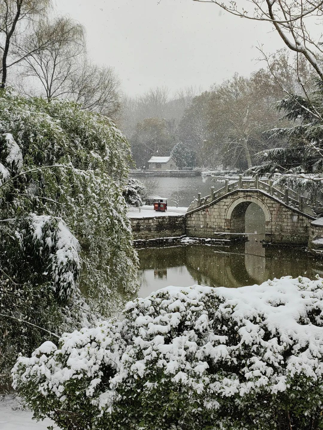 潍坊雪景图片