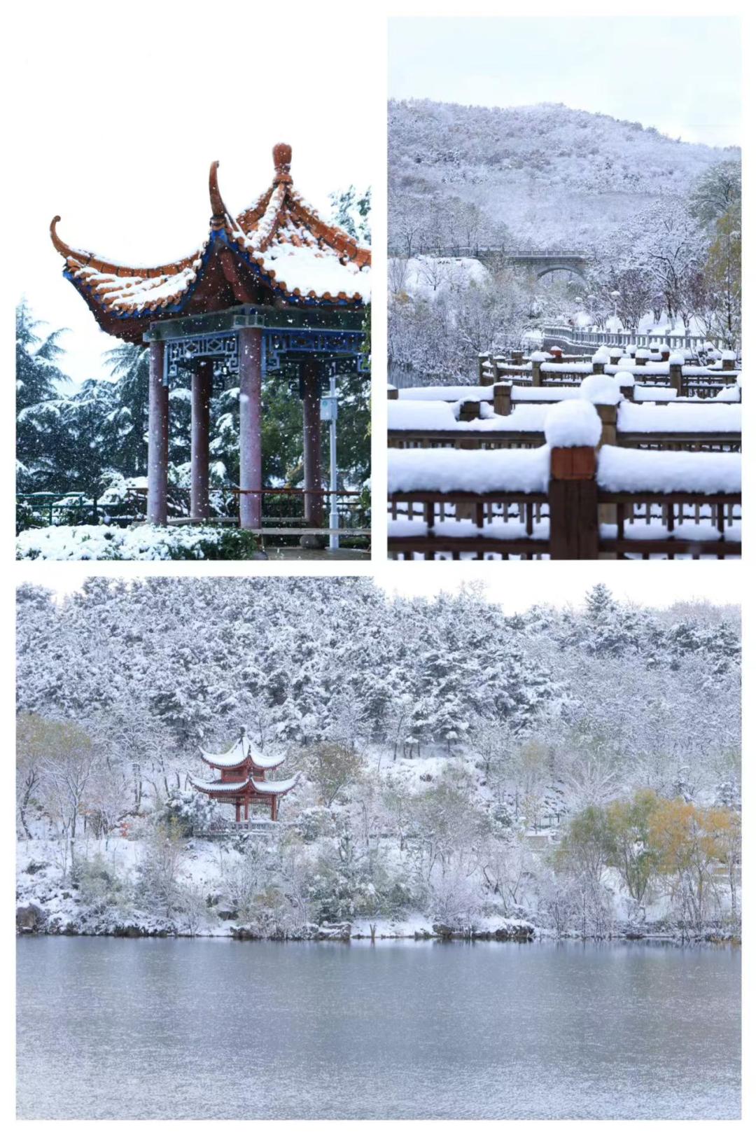 烟台大学雪景图片