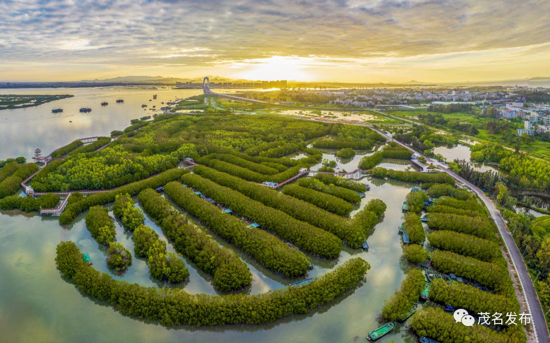 镜头下的"山海茂名",风光无限!_澎湃号·政务_澎湃新闻-the paper