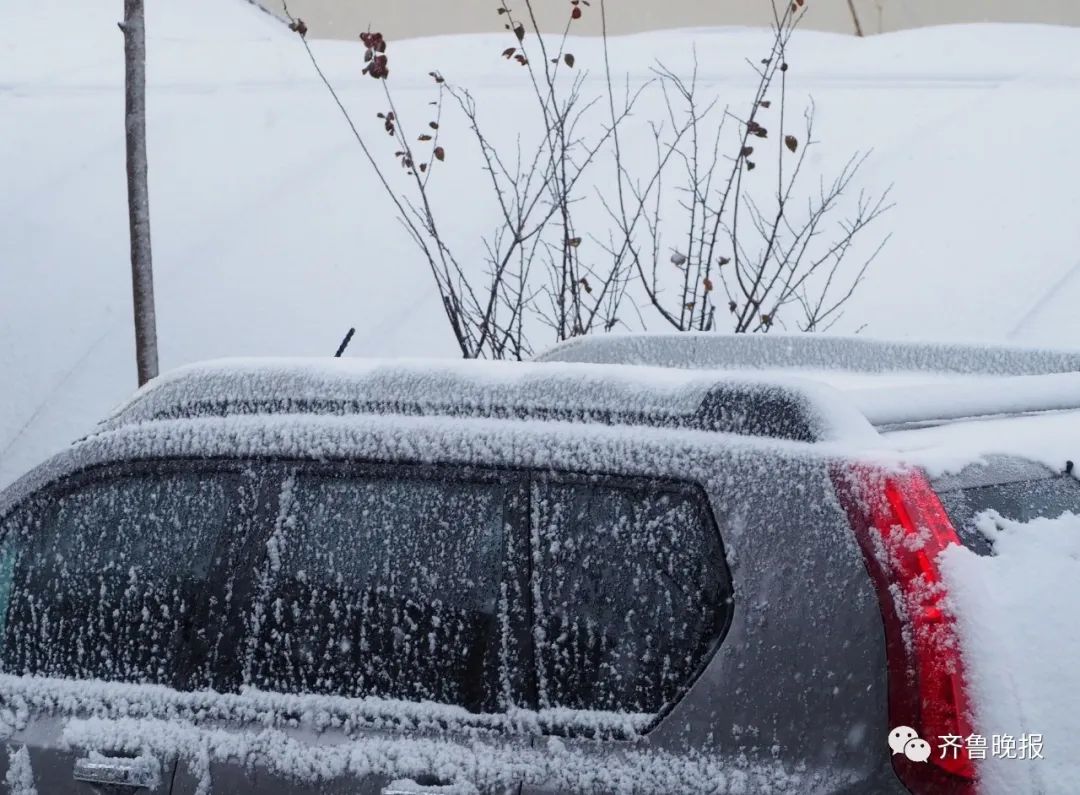 专家:"雷打雪"为暴雪前兆_澎湃号·媒体_澎湃新闻-the paper