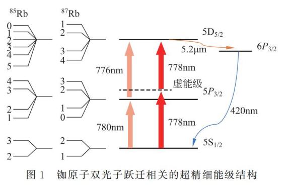 基於銣原子雙光子躍遷的原子譜線展寬機制教學演示