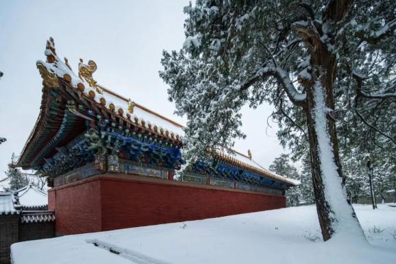 別發呆,看著雪景說