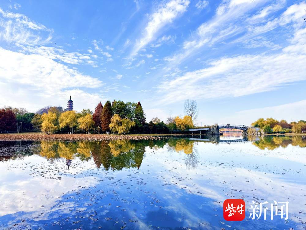 镇江金山湖:湖光"杉"色醉游人
